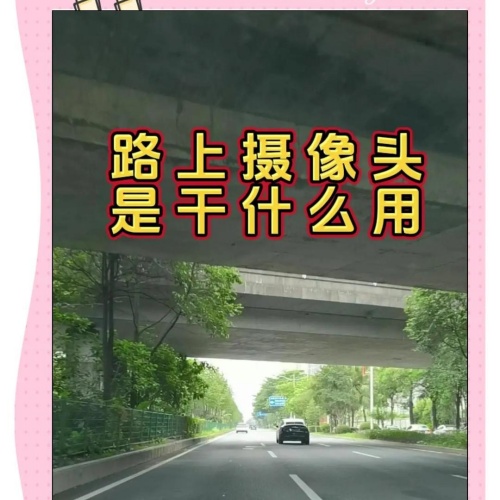 黑煙車抓拍攝像頭 (20).jpeg